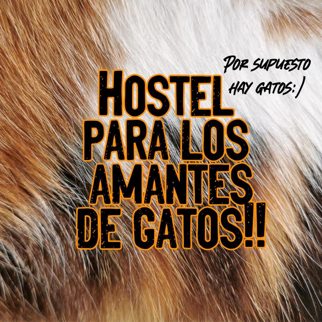 纳塔列斯港Posada De Los Gatos住宿加早餐旅馆 外观 照片