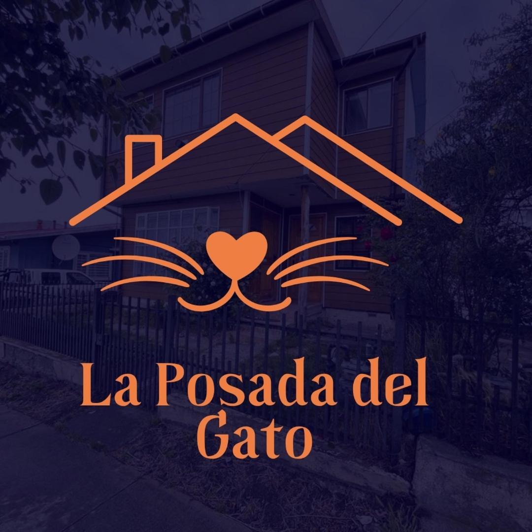 纳塔列斯港Posada De Los Gatos住宿加早餐旅馆 外观 照片